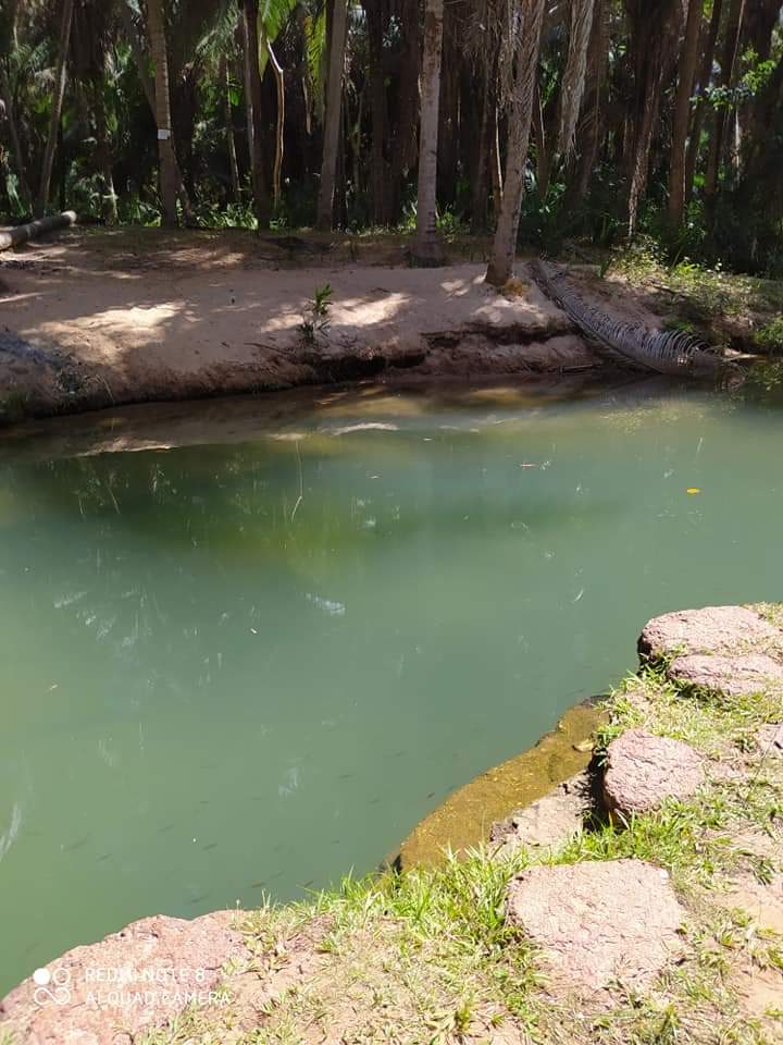 Monsenhor Gil, um município de encantos mil - Imagem 27