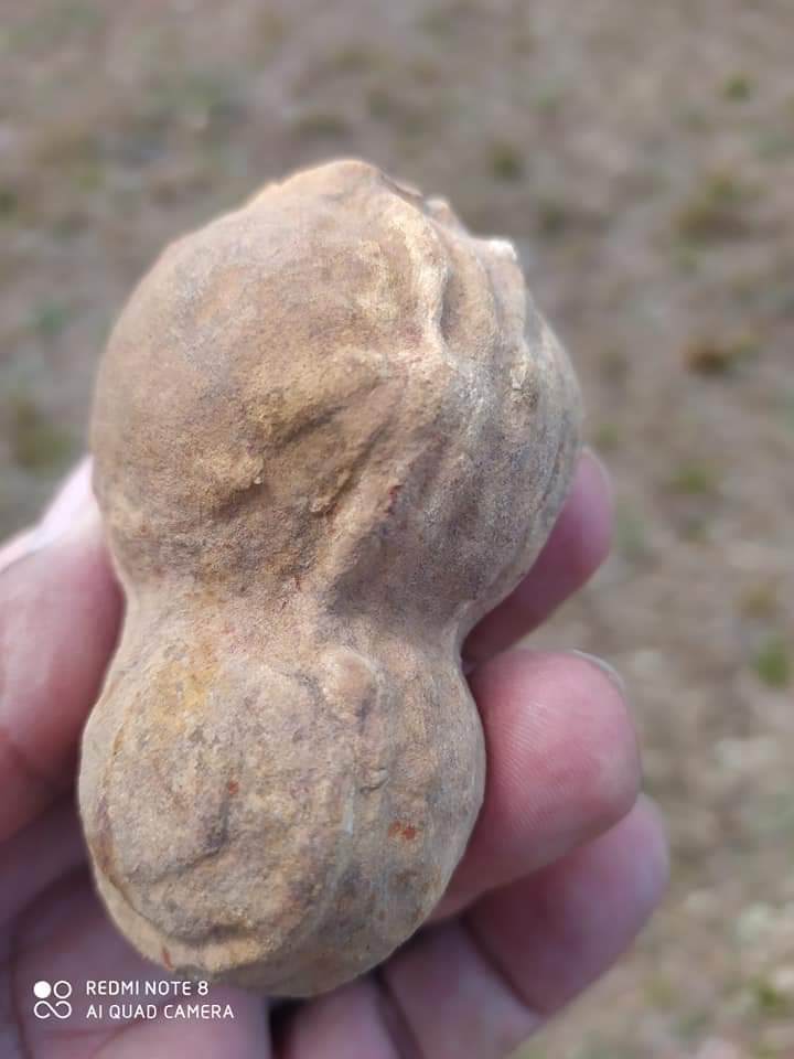 Monsenhor Gil, um município de encantos mil - Imagem 14