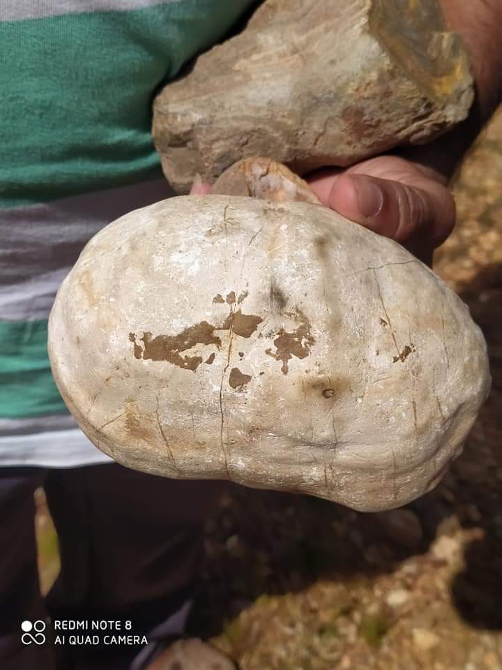 Monsenhor Gil, um município de encantos mil - Imagem 20