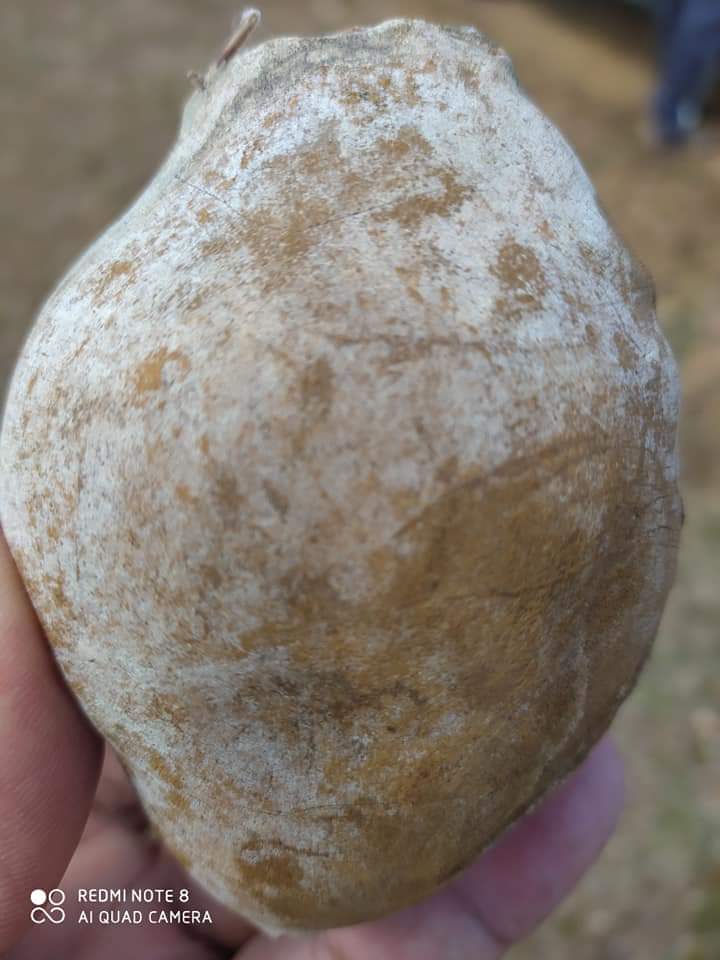 Monsenhor Gil, um município de encantos mil - Imagem 16