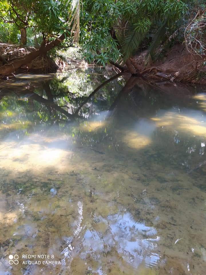 Monsenhor Gil, um município de encantos mil - Imagem 31