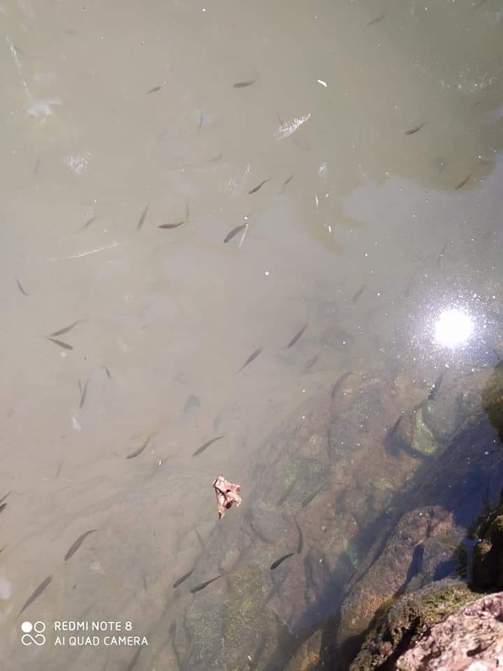 Monsenhor Gil, um município de encantos mil - Imagem 28