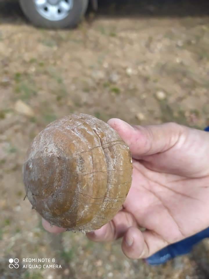 Monsenhor Gil, um município de encantos mil - Imagem 17