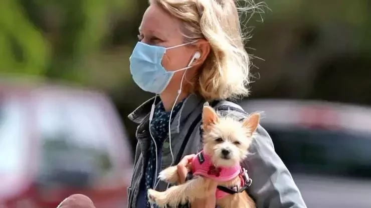 Você é capaz de reconhecer estas celebridades por trás da máscara?  - imagem 22351