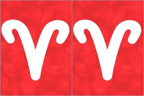 Confira as combinações de casais do mesmo signo que são intensas - imagem 21354