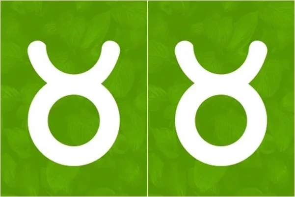 Confira as combinações de casais do mesmo signo que são intensas - imagem 21355