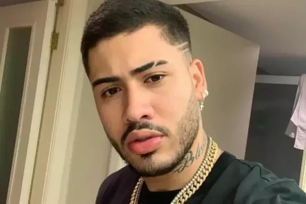 Saiba os valores das lives dos artistas brasileiros durante pandemia  - imagem 23453