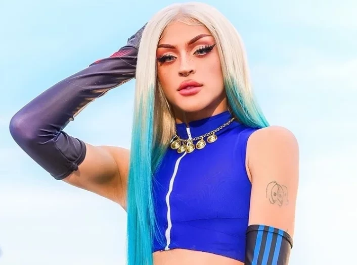 Saiba os valores das lives dos artistas brasileiros durante pandemia  - imagem 23455