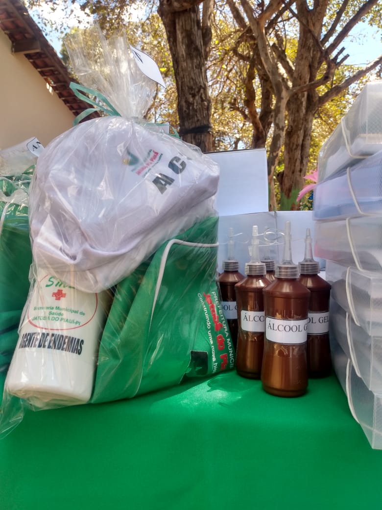 Secretária de saúde de Jatobá do Piauí Noemia Oliveira faz entrega de kits de EPI´s para as equipes de saúde do município - Imagem 2