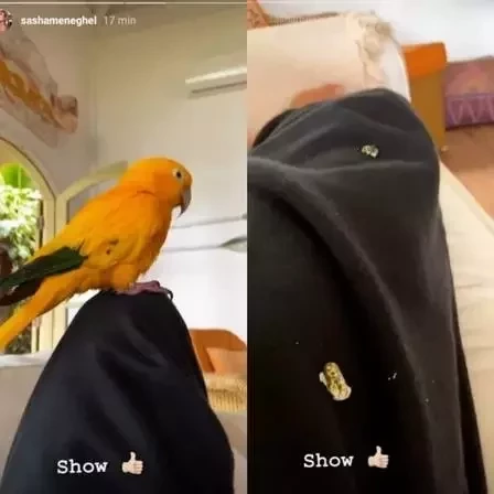 Sasha se isola perto do mar e vê Xuxa quando a saudade aperta; fotos - imagem 23582