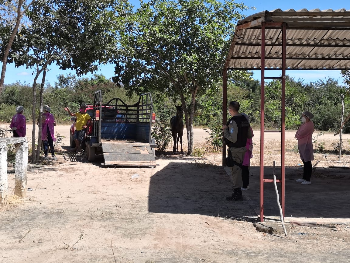 Prefeitura de Monsenhor Gil faz balanço do final de semana no combate ao Covid-19 - Imagem 1