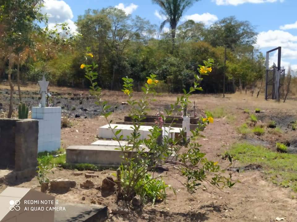 Respeito pelos mortos, prefeitura manda limpar cemitério - Imagem 2