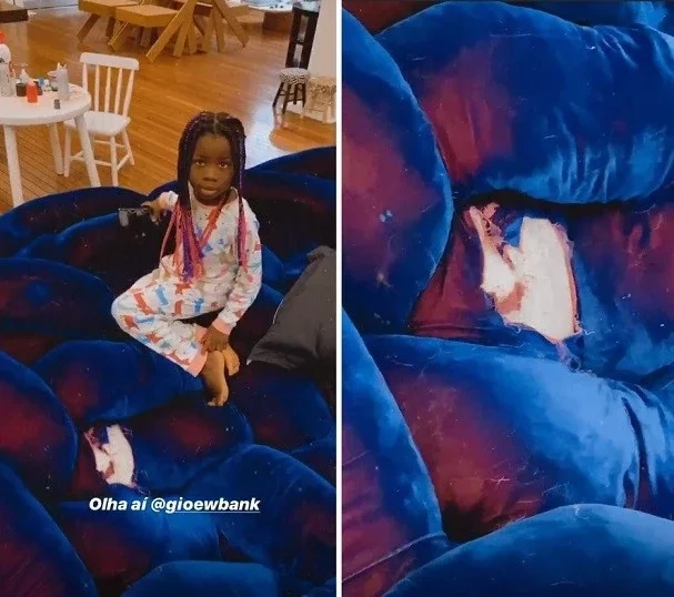 Cachorra de Bruno Gagliasso destrói sofá de grife de R$ 500 mil; fotos - imagem 24018