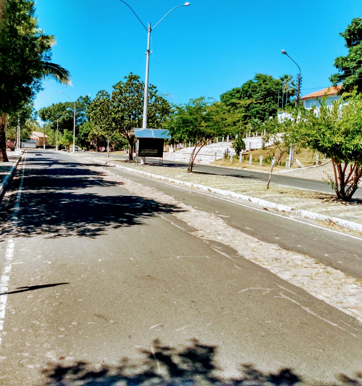 No dia em que Monsenhor Gil parou a favor da vida - Imagem 7