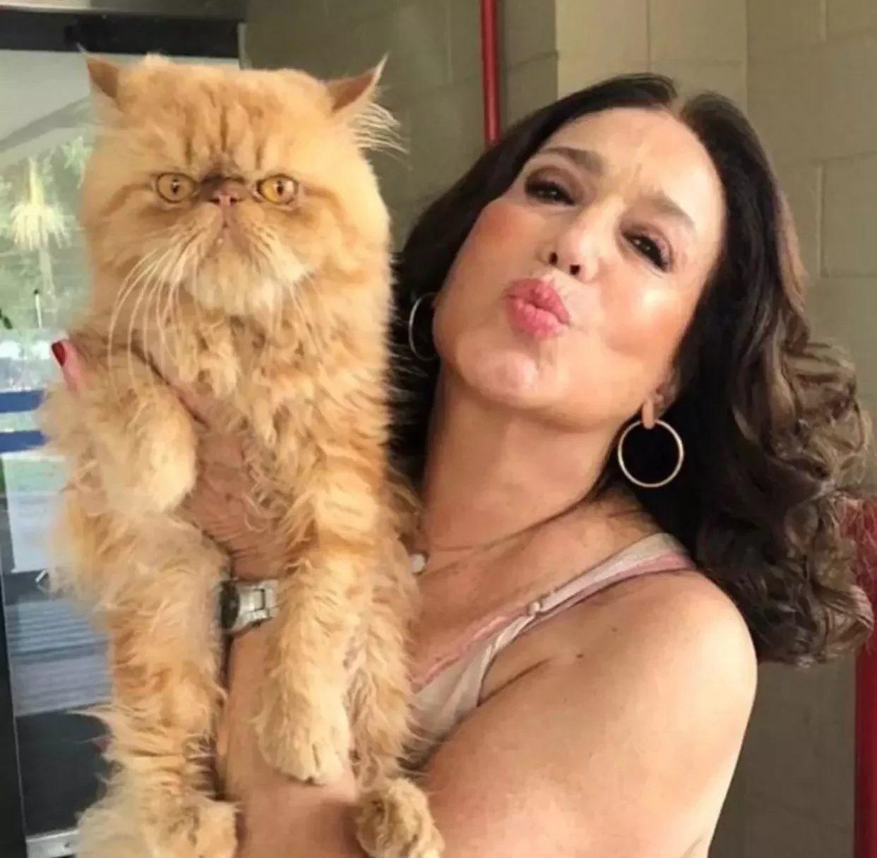 Confira os 10 maiores salários já pagos para as atrizes brasileiras  - imagem 22892