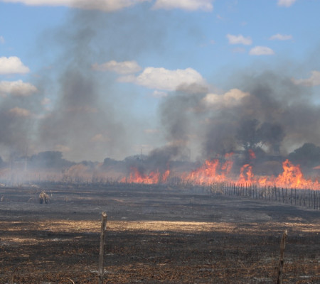 Incêndio cobre todo o bairro Itararé de fumaça  e cria pânico na população