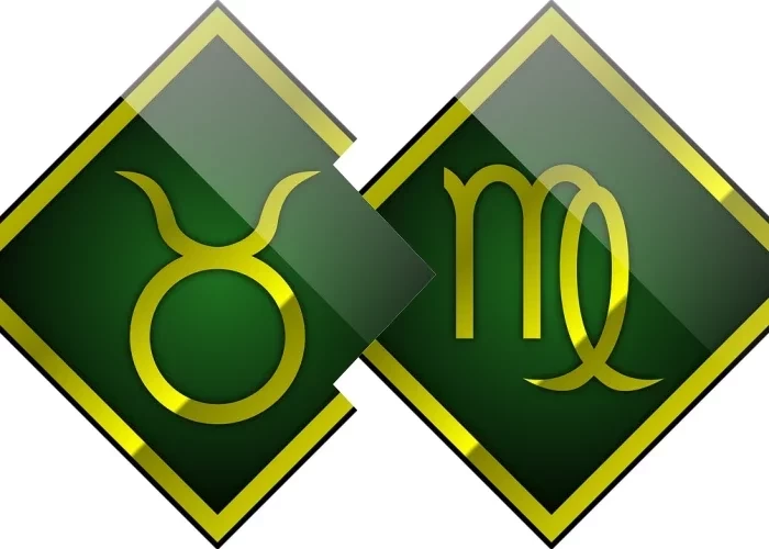 Veja os signos que formam casais turbulentos, mas que se entendem bem - imagem 25452