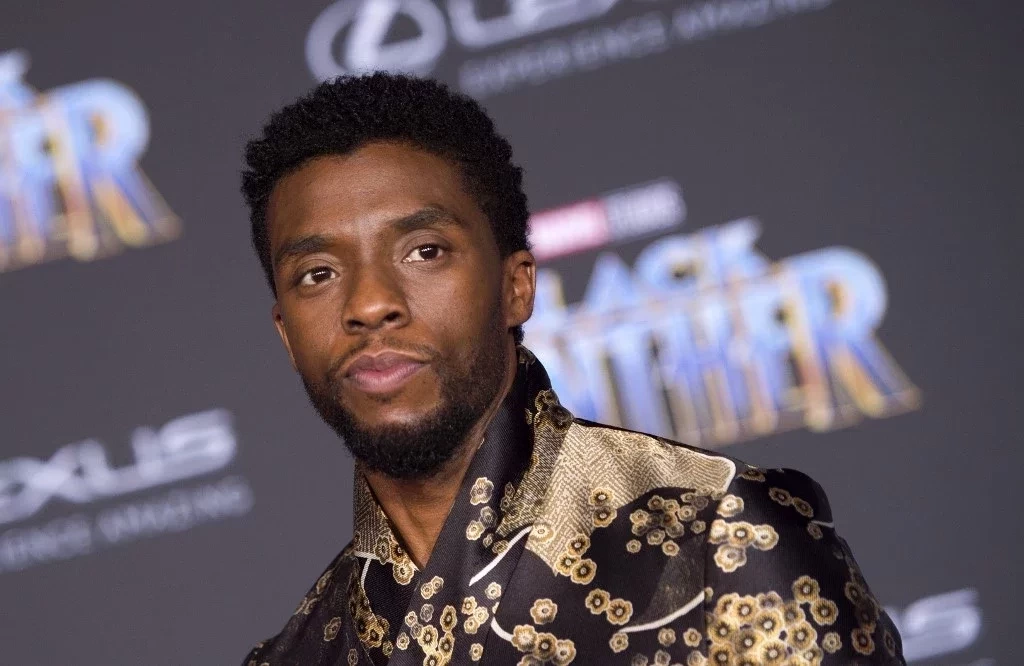 Elenco de Vingadores e famosos se despedem de Chadwick Boseman - imagem 25731
