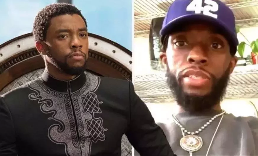 Elenco de Vingadores e famosos se despedem de Chadwick Boseman - imagem 25730