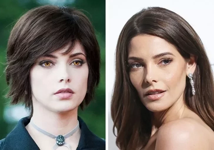 12 Anos após estreia de “Crepúsculo”, veja como estão os atores hoje  - imagem 24340