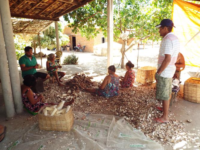 Cultura da farinhada ainda resiste ao tempo - Imagem 8