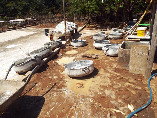 Cultura da farinhada ainda resiste ao tempo - Imagem 10