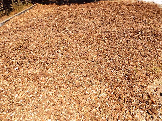 Cultura da farinhada ainda resiste ao tempo - Imagem 15