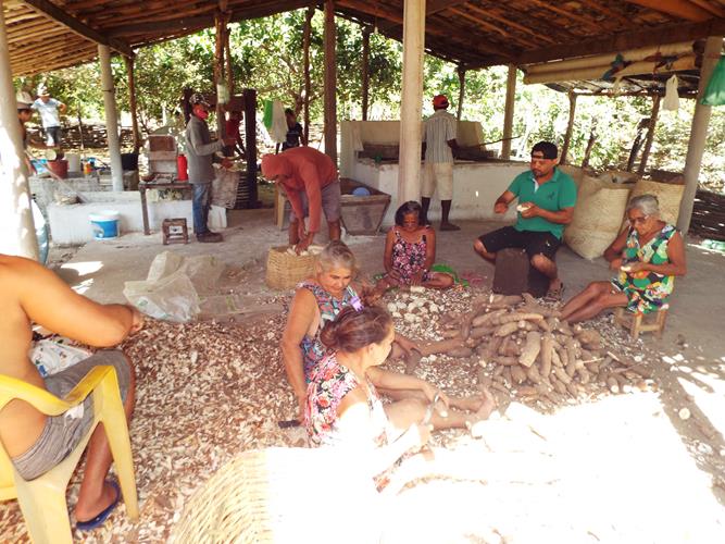 Cultura da farinhada ainda resiste ao tempo - Imagem 2