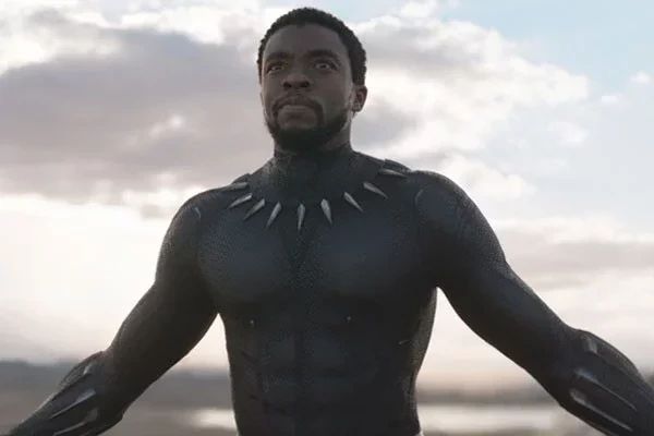 Conheça fatos surpreendentes sobre a vida de Chadwick Boseman - imagem 25845