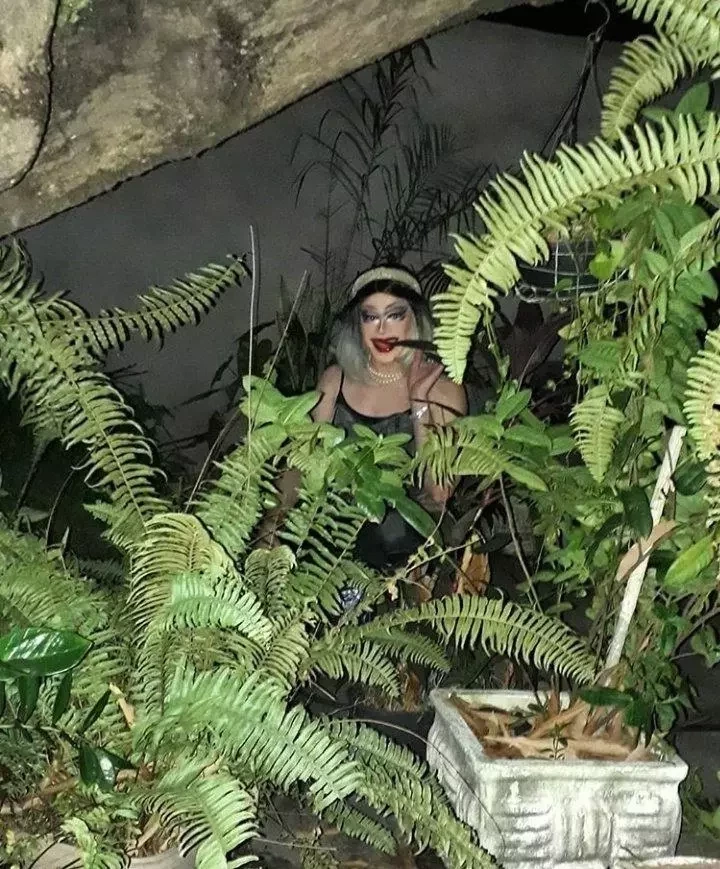 Internautas do Piauí se oferecem para ser a nova Juma Marruá  - imagem 26731