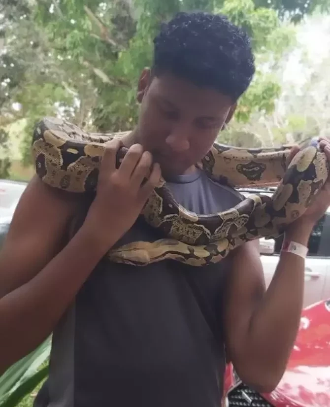 Internautas do Piauí se oferecem para ser a nova Juma Marruá  - imagem 26738