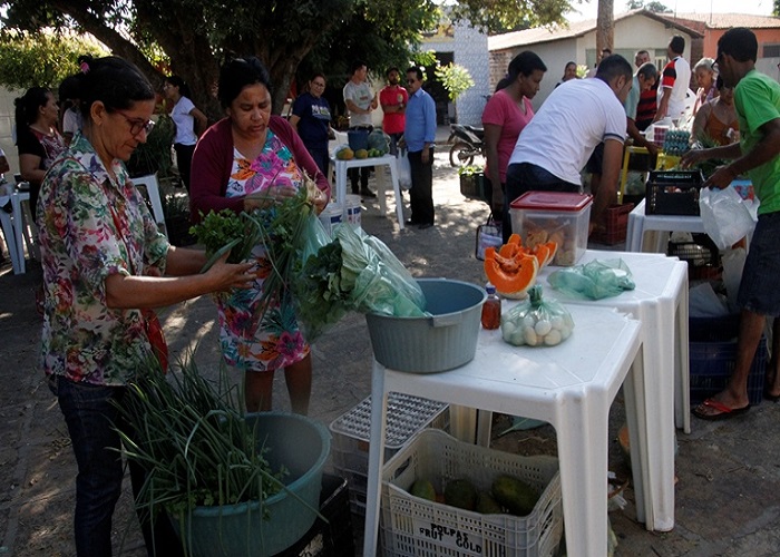 Após período crítico da pandemia, feira Saberes e Sabores” volta acontecer - Imagem 2