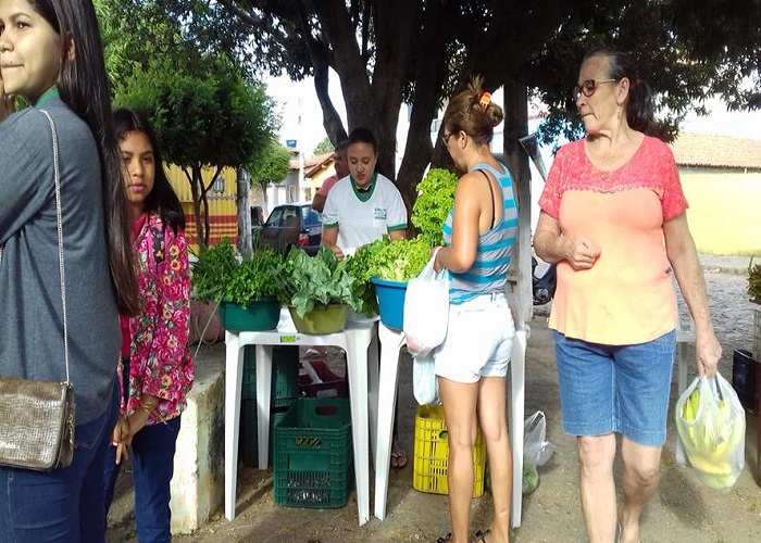 Após período crítico da pandemia, feira Saberes e Sabores” volta acontecer - Imagem 4