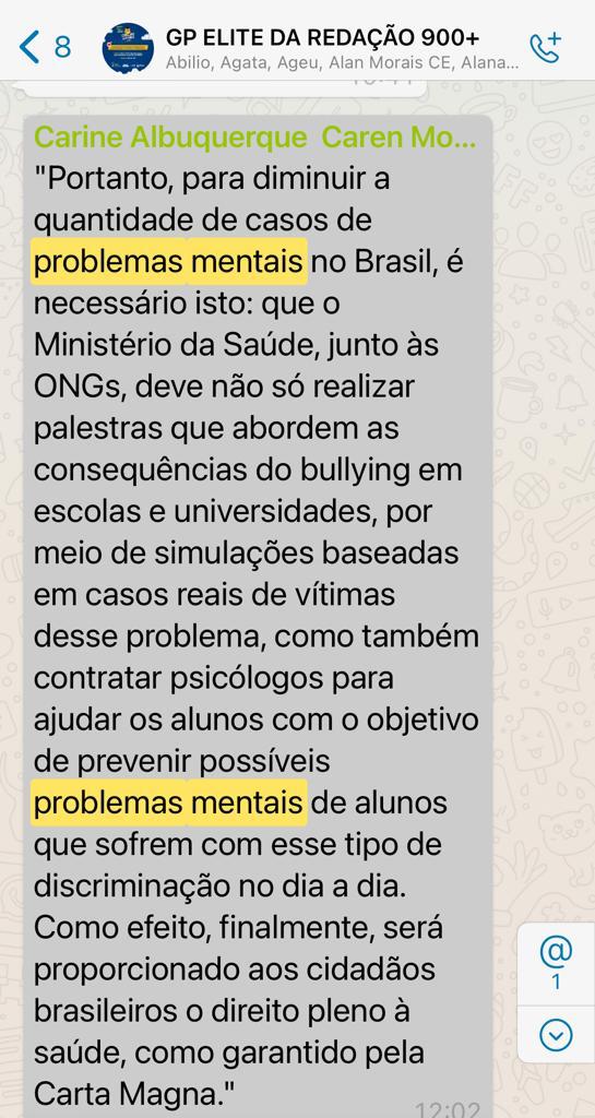 Professores do Pré-Enem da Seduc do Piauí acertam tema da redação do Enem - Imagem 2