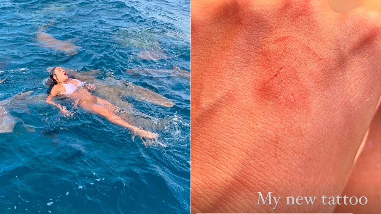 Bailarina do Faustão é abocanhada por tubarão em mergulho; fotos - imagem 32022