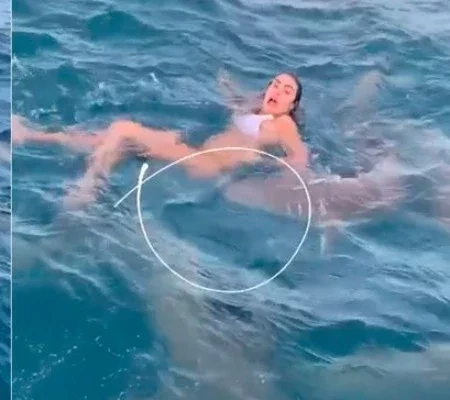 Bailarina do Faustão é abocanhada por tubarão em mergulho; fotos