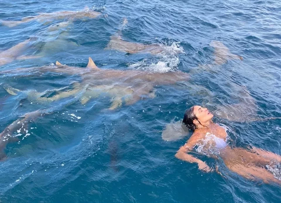 Bailarina do Faustão é abocanhada por tubarão em mergulho; fotos - imagem 32020