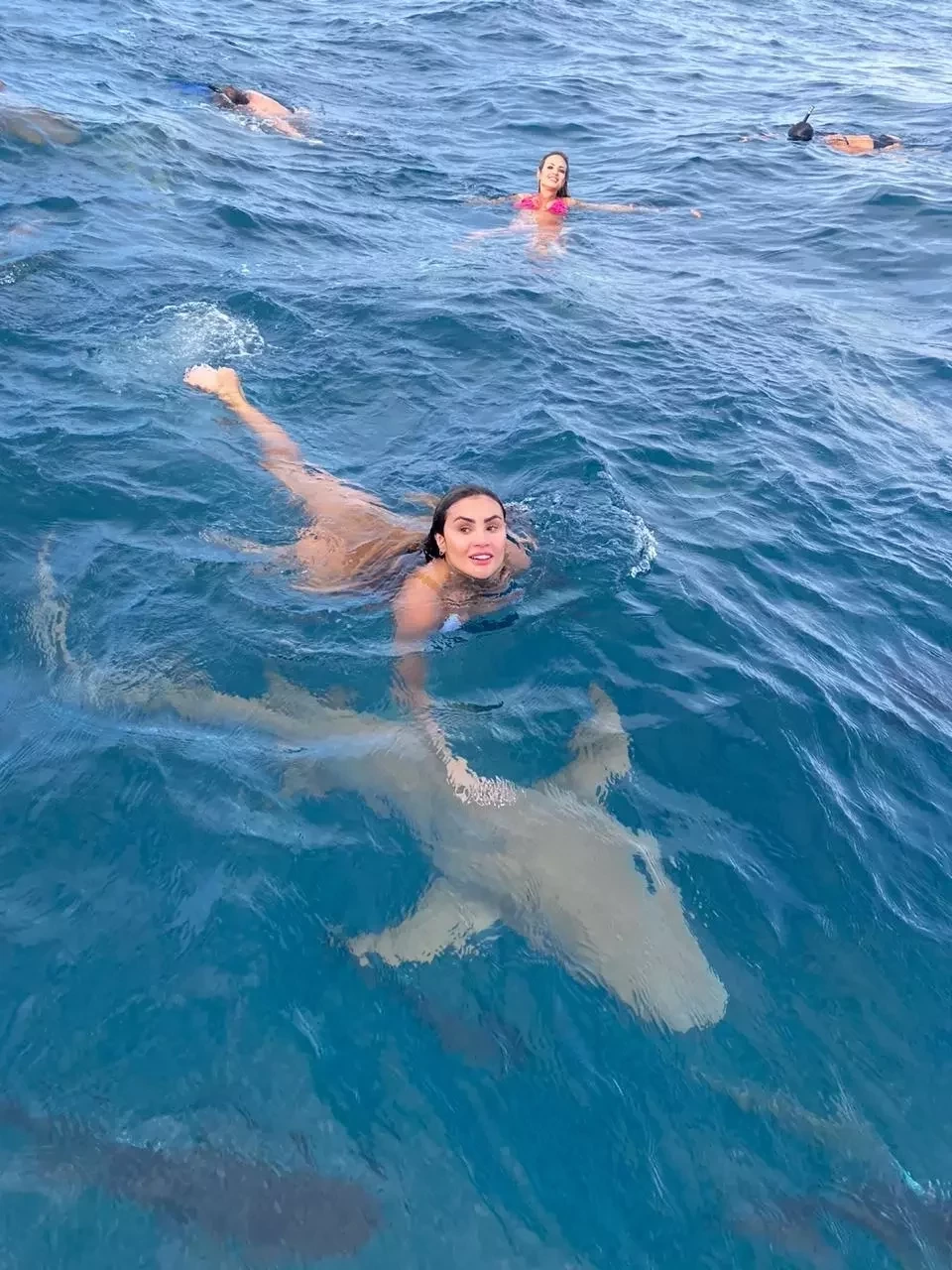 Bailarina do Faustão é abocanhada por tubarão em mergulho; fotos - imagem 32023