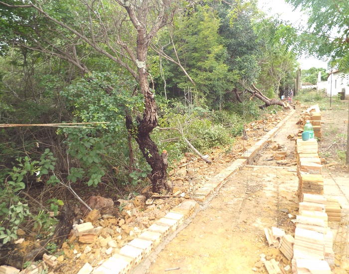 Milton Brandão: Município deu início as matrículas nessa quarta (20) - Imagem 12