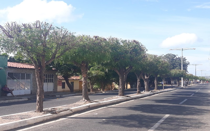 Milton Brandão: População começa perceber as mudanças com as ações da gestão de Evangelista Resende - Imagem 3