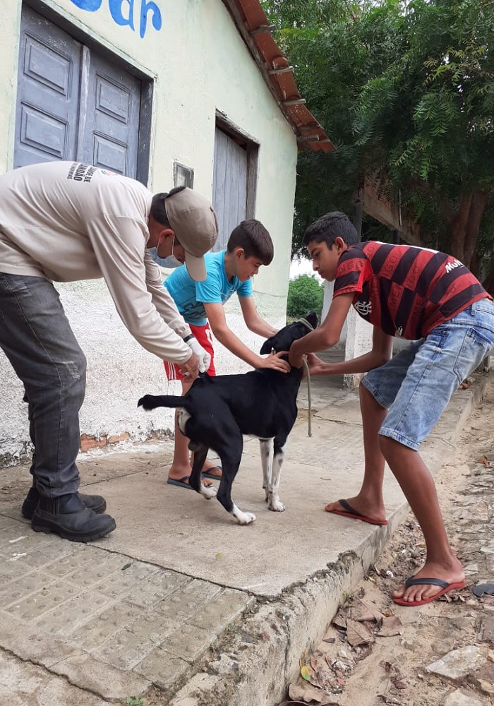 Milton Brandão: Município realiza campanha de vacinação antirrábica que seria em novembro de 2020 só agora está sendo realizada - Imagem 8