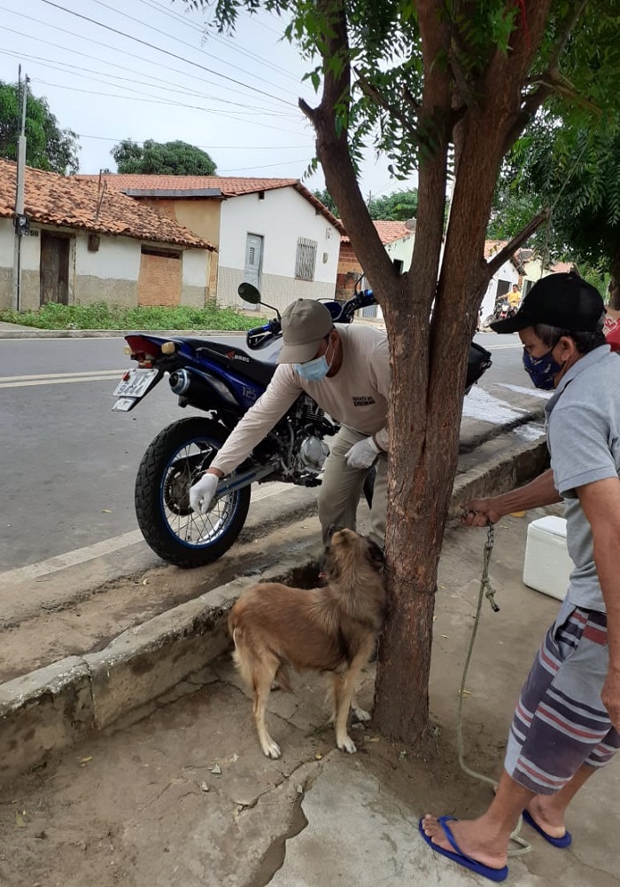 Milton Brandão: Município realiza campanha de vacinação antirrábica que seria em novembro de 2020 só agora está sendo realizada - Imagem 2