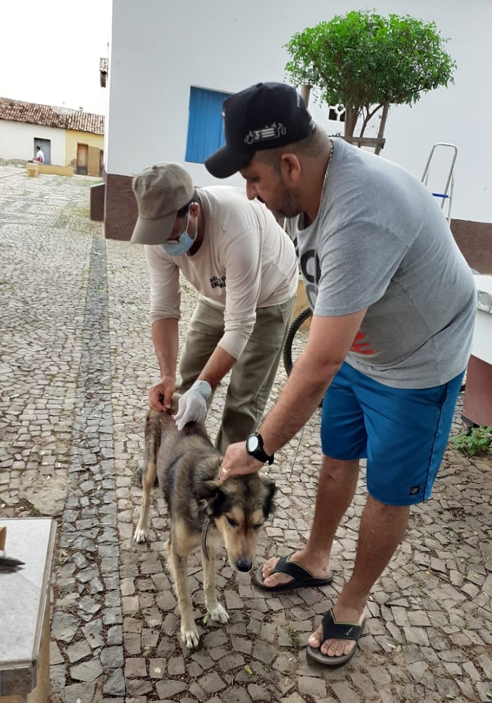 Milton Brandão: Município realiza campanha de vacinação antirrábica que seria em novembro de 2020 só agora está sendo realizada - Imagem 4