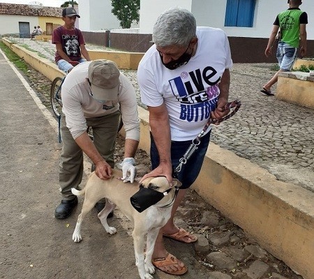 Milton Brandão: Município realiza campanha de vacinação antirrábica que seria em novembro de 2020 só agora está sendo realizada 