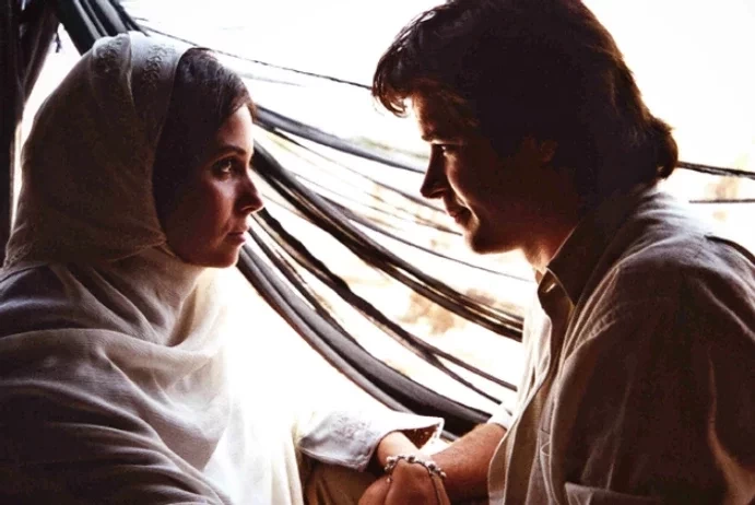 Veja curiosidades por trás de grandes novelas que você não conhecia - imagem 31450