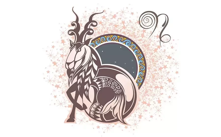 Capricórnio (22/12 - 20/01)