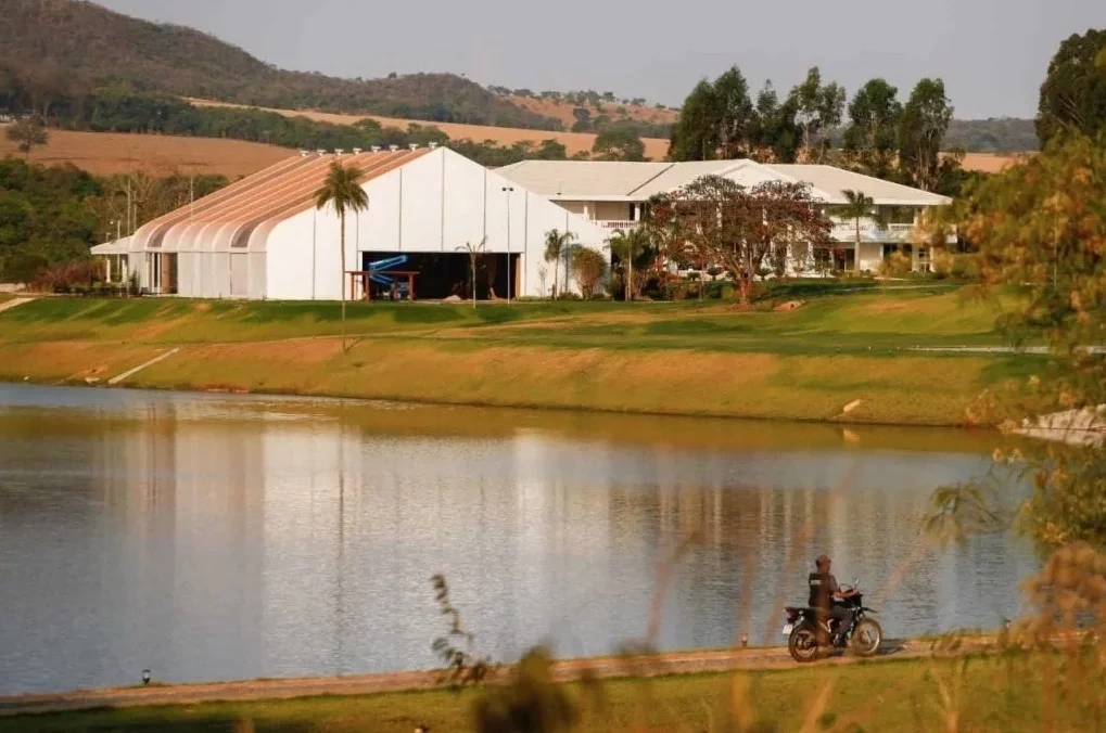 Carrões na decoração