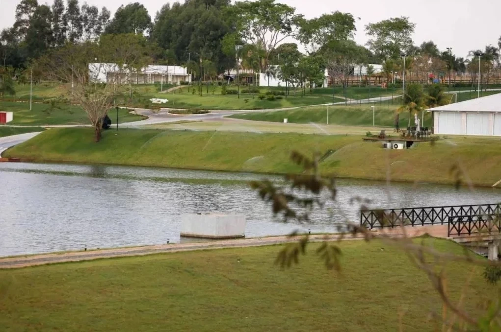 Carrões na decoração