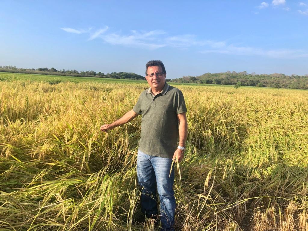 Prefeito Genival Bezerra visita campo de produção arroz - Imagem 4
