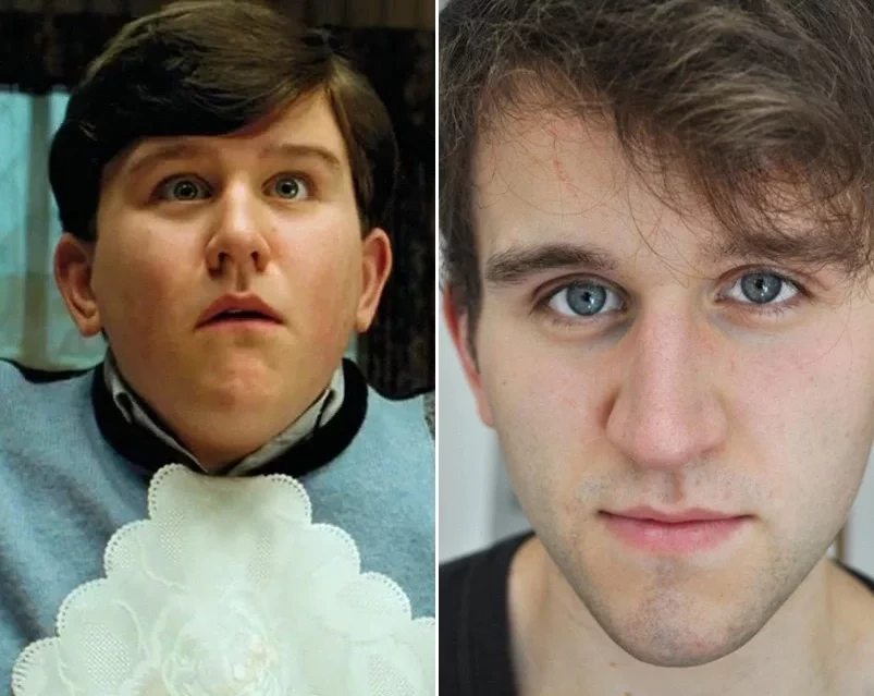 Harry Melling – Duda Dursley 
